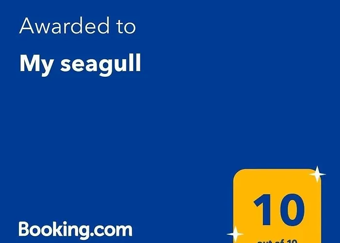 My Seagull Vela Luka